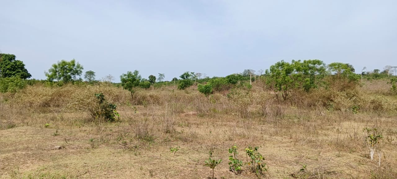 TERRAIN EN VENTE