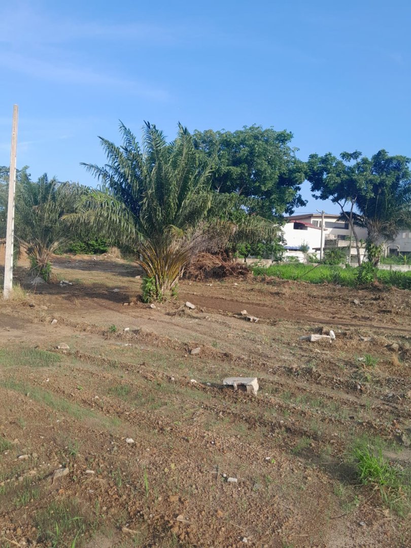 TERRAIN EN VENTE