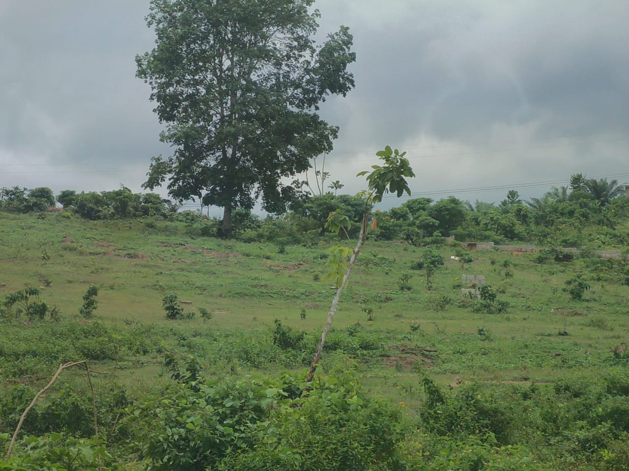 TERRAIN EN VENTE